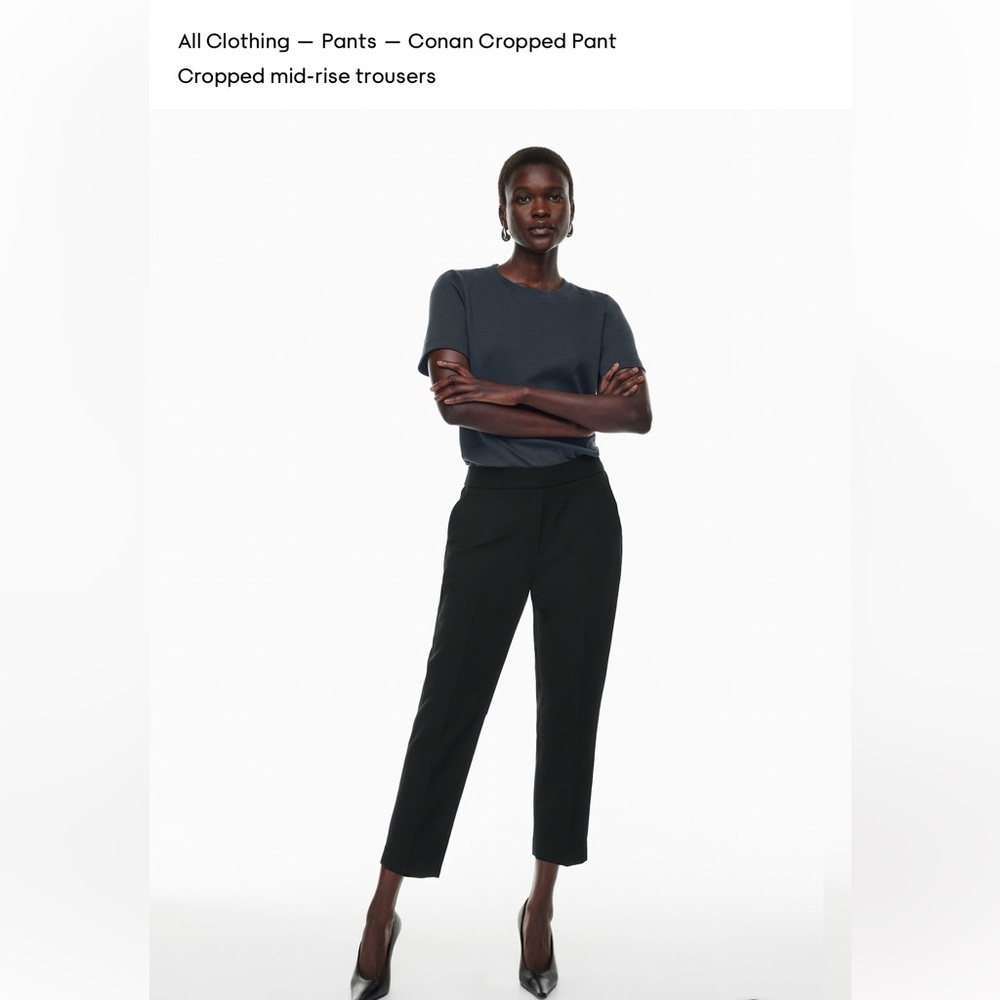 Aritzia Black Conan Cropped Pants
